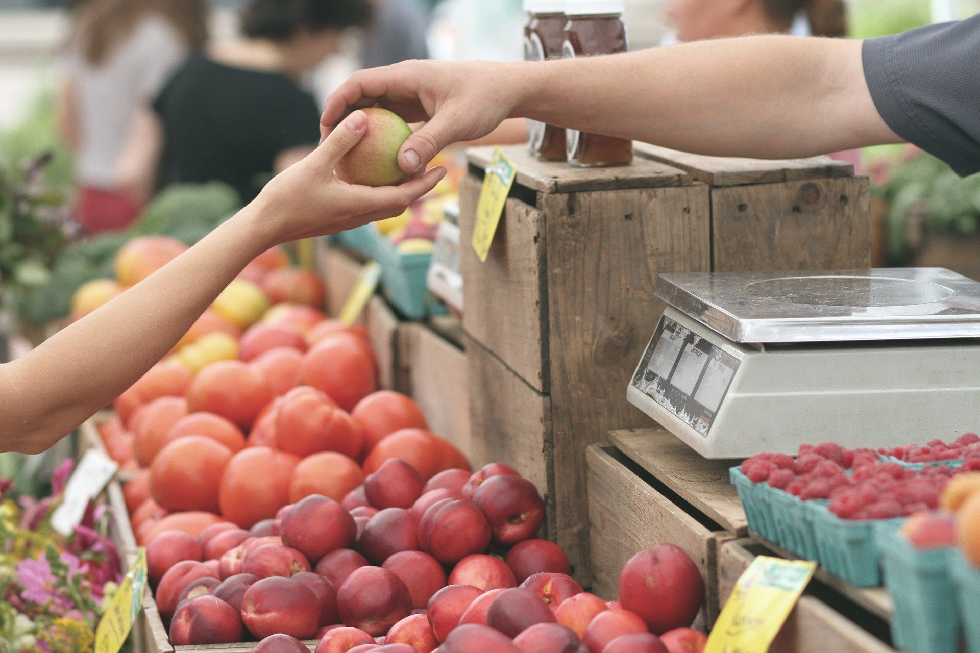 TECH friendly ayuda a los ayuntamientos a fortalecer el comercio de proximidad