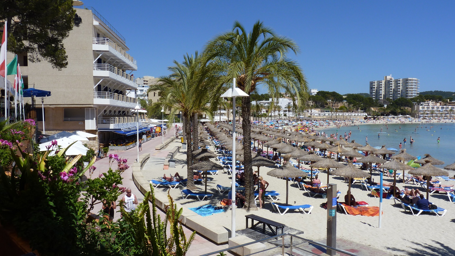 El Ayuntamiento de Palma lanza una app para conocer la ocupación de las playas en tiempo real