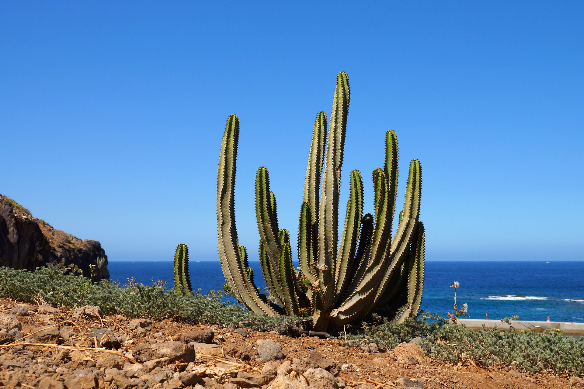 Tenerife busca fortalecer la conectividad con destinos europeos