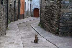 despoblamiento rural