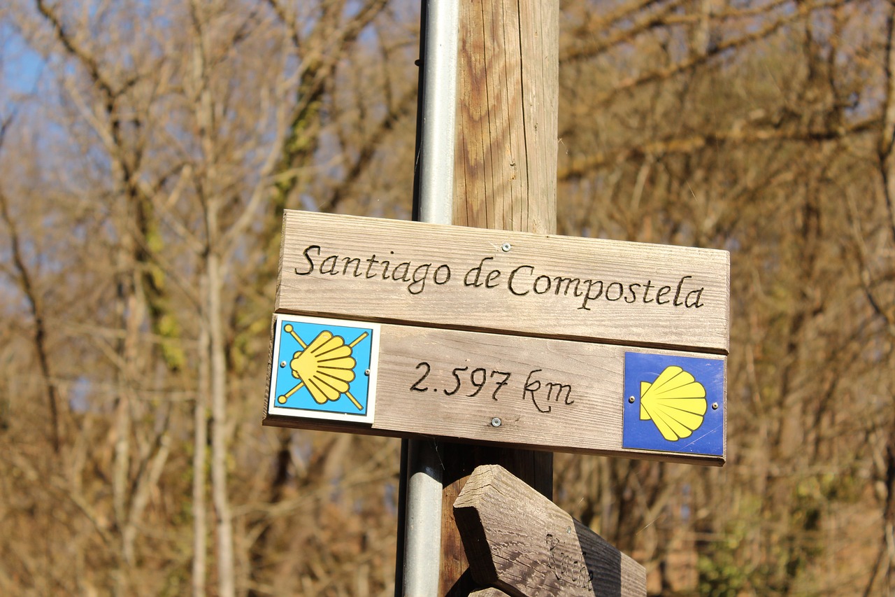 El Gobierno de Aragón y Fundación ONCE presentan el Camino de Santiago Francés Accesible