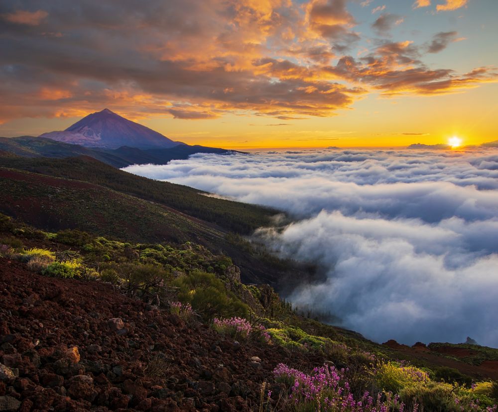 Cabildo Insular de Tenerife – SPET, Turismo de Tenerife