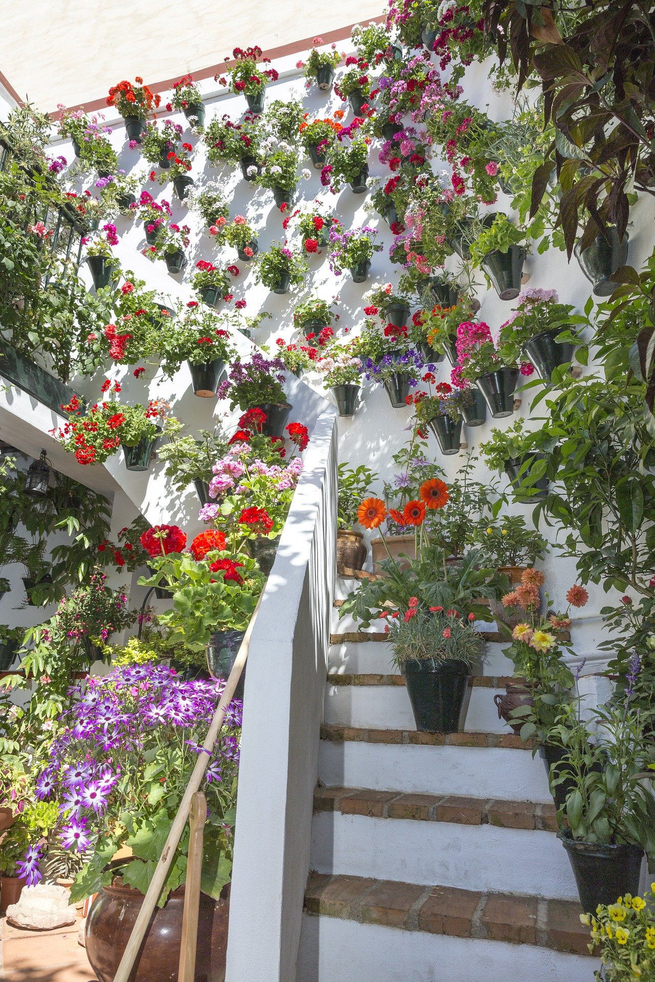 El Ayuntamiento de Córdoba mejora la accesibilidad a los Patios 2022