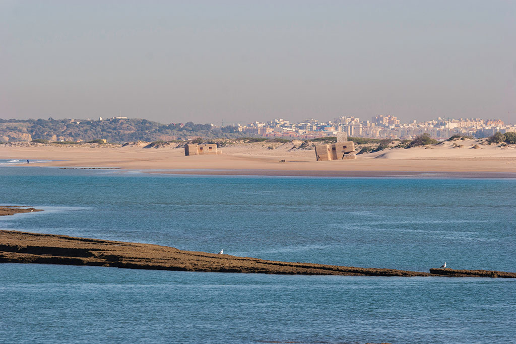 San Fernando