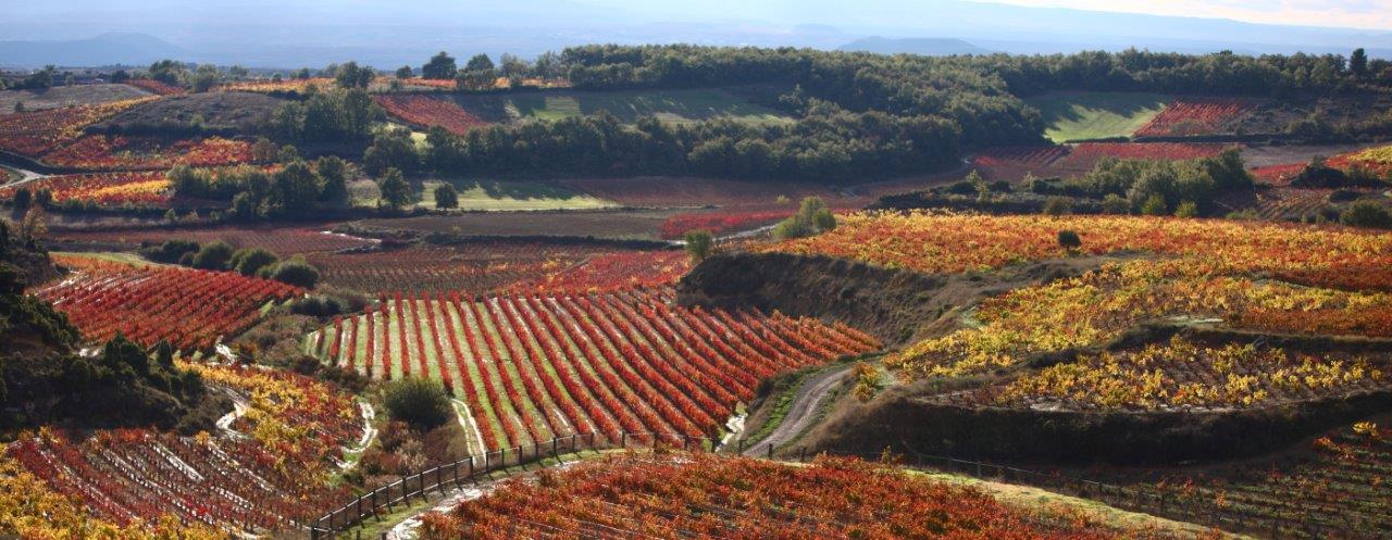 Comarca de Rioja Alavesa