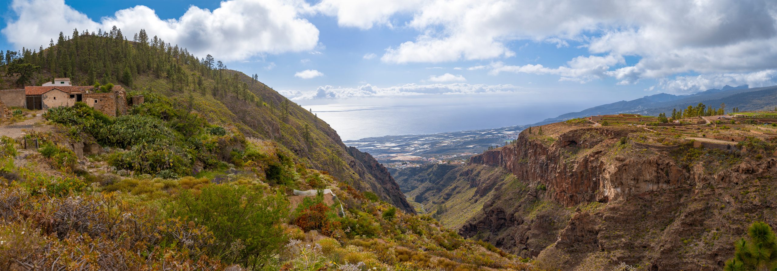 Guía de Isora