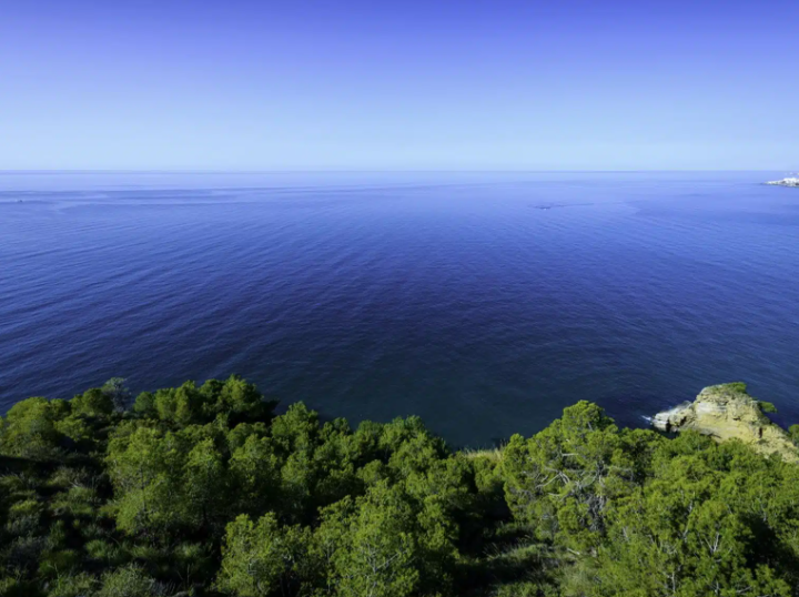 Turismo Costa Del Sol continúa impulsando el Sello “Huella Zero” para premiar la sostenibilidad en el sector turístico