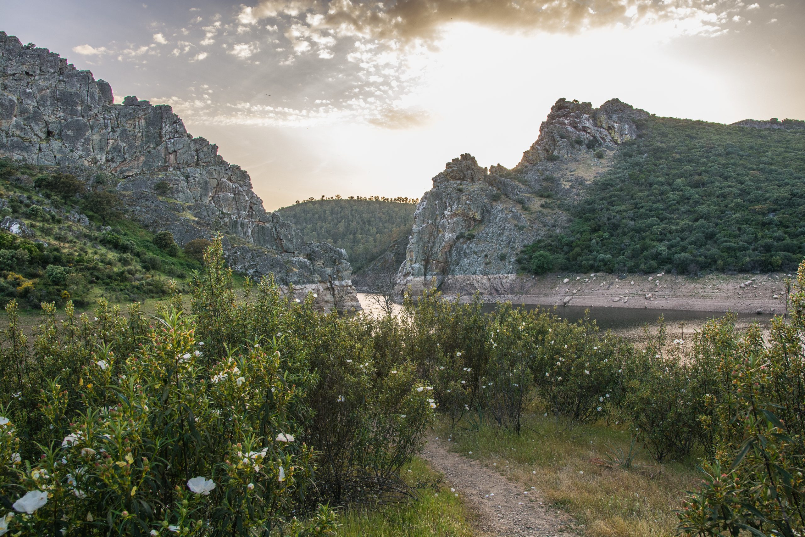 La comarca de Valle del Alagón comienza con los trabajos asociados al proceso de diagnóstico Destino Turístico Inteligente al que se someterá con el apoyo de SEGITTUR. Este proceso está financiado por Diputación de Cáceres en el marco del PRTR- NextGenerationEU