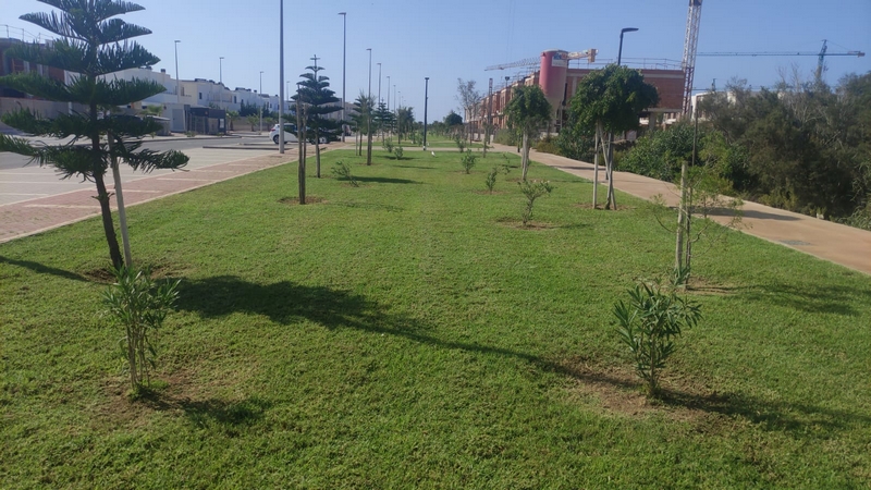 El Ejido impulsa la mejora ambiental de sus zonas verdes con la plantación de más de 2.000 especies dentro del Plan Savia 2024-2027 de Diputación de Almería