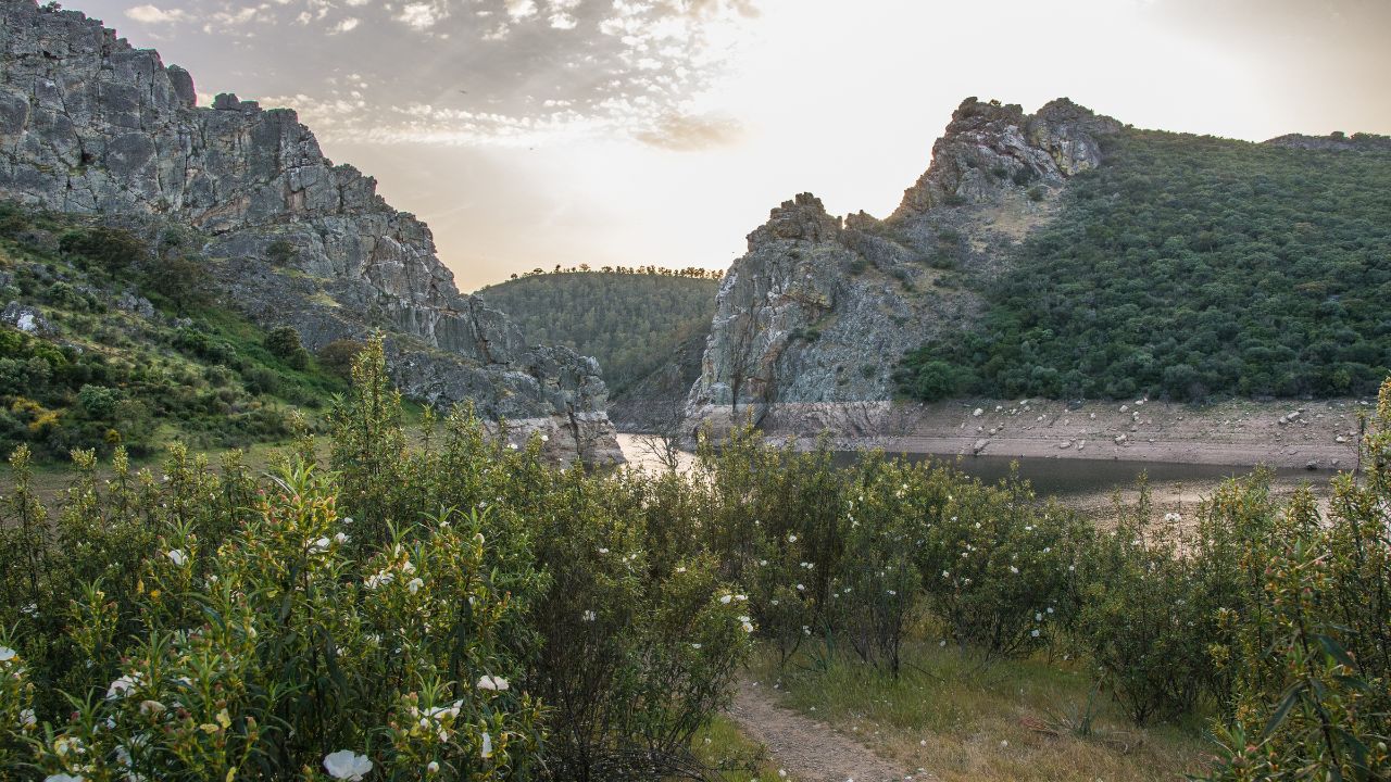 valle_del_alagon DTI