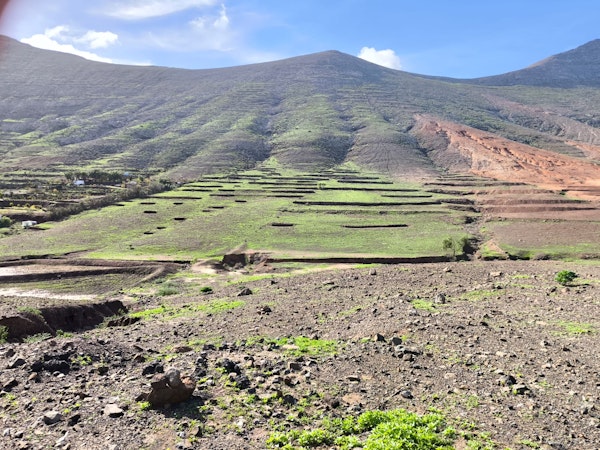 ‘Fuerte por naturaleza’ afronta la recta final del proyecto de rehabilitación sostenible del paisaje de Valle Grande, tras culminar Vallebrón