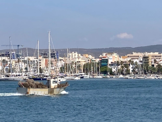 El Ayuntamiento impulsa a través de Neápolis una nueva incubadora de economía azul para fomentar el emprendimiento vinculado al mar