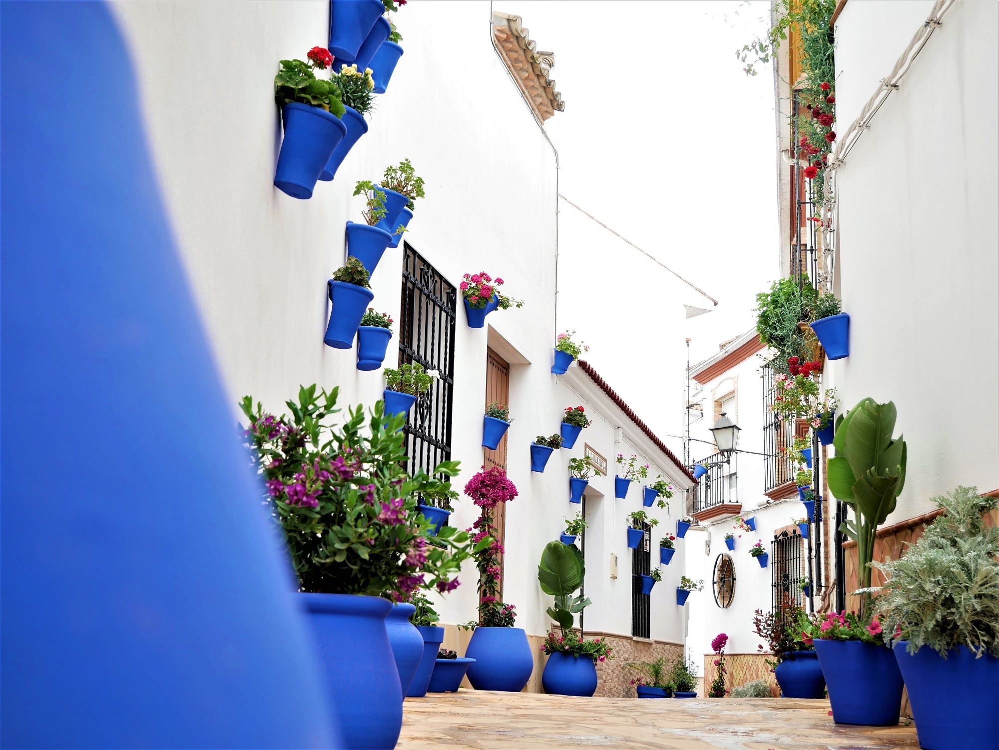 Cañete de las Torres renueva su distintivo como Destino Turístico Inteligente adherido